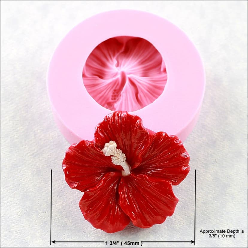Hibiscus mould